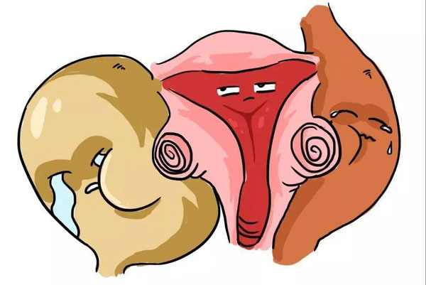 宫颈糜烂与怀孕解析与理解